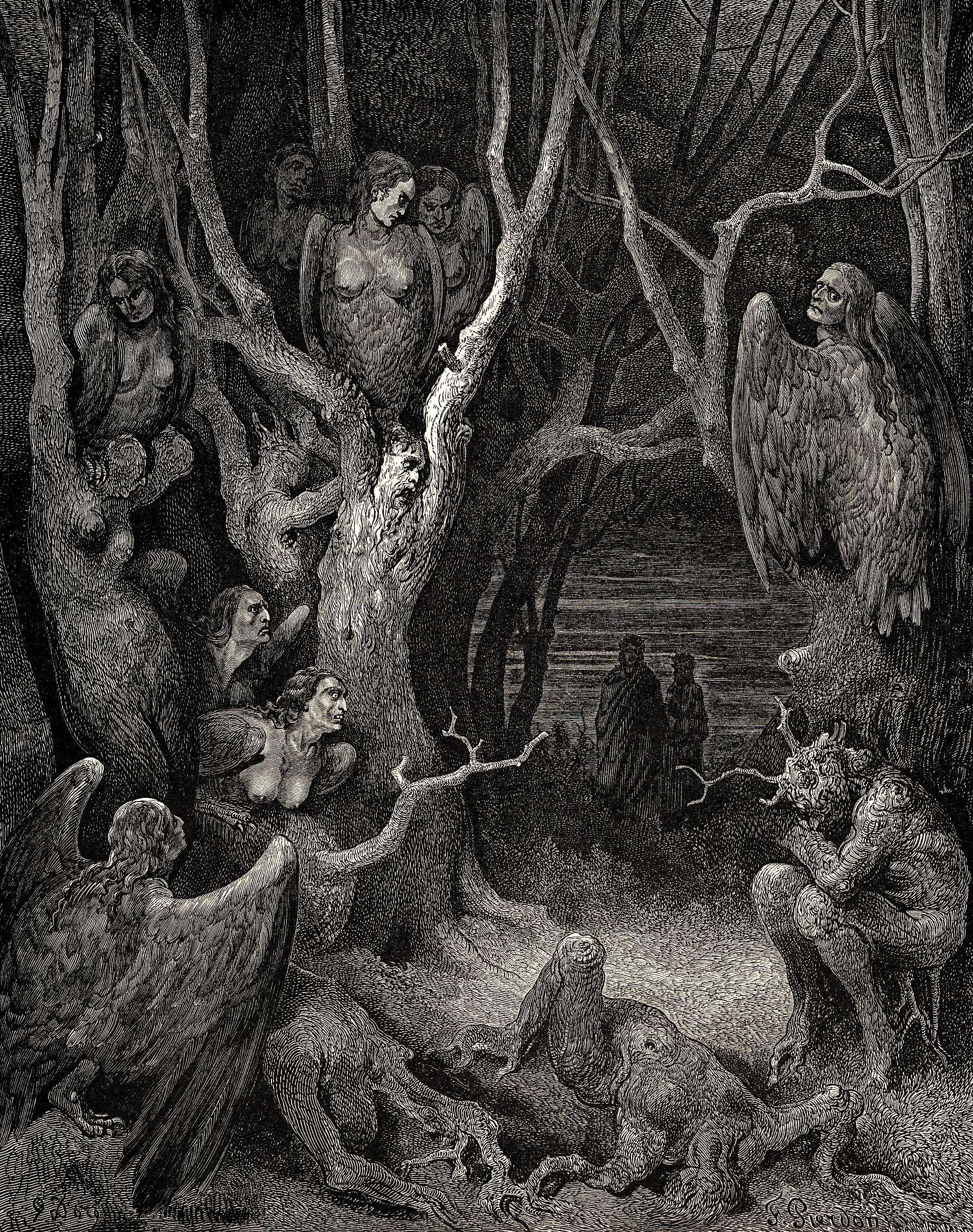Dore engraving of harpies, bird-bodied women, in the Wood of the Suicides.