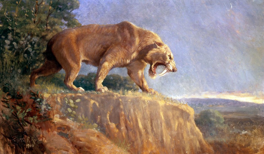 Knight Smilodon.