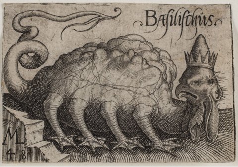 Engraving of a basilisk, a crested serpent-lizard, by Melchior Lorck (1548).