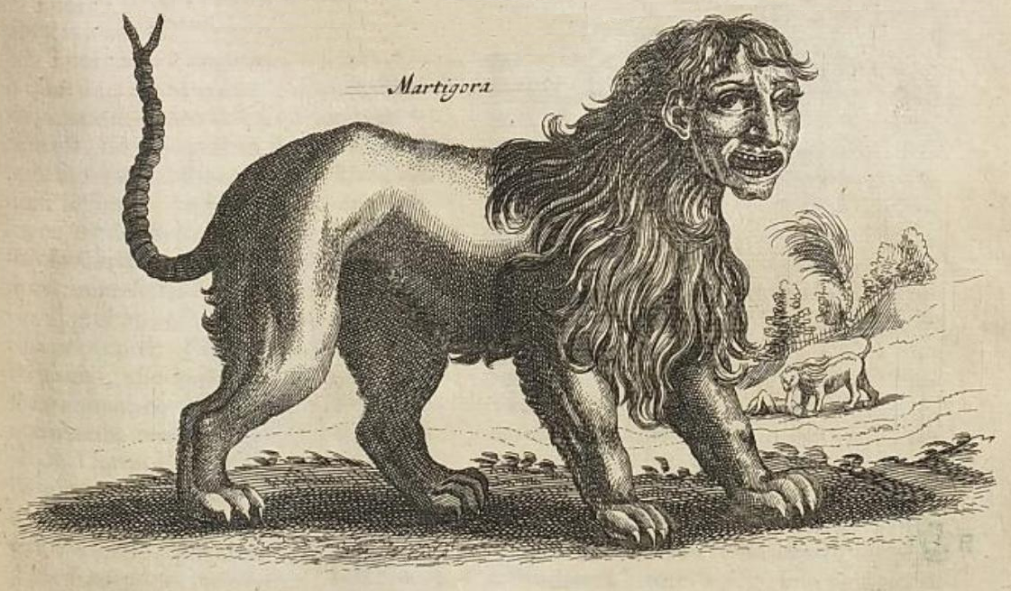 Engraving of a manticore: lion's body, human face, spiked tail (Jonston/Merian, 1657).