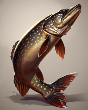Giant Pike